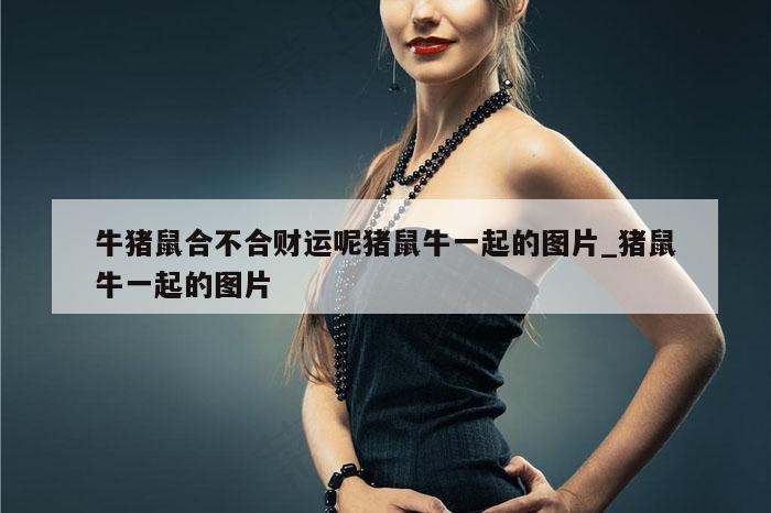 牛猪鼠合不合财运呢猪鼠牛一起的图片_猪鼠牛一起的图片